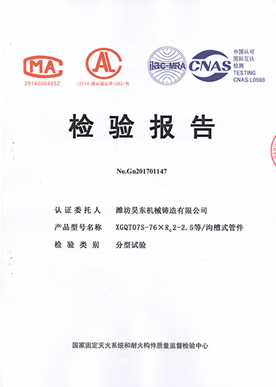 大小頭檢驗(yàn)報告